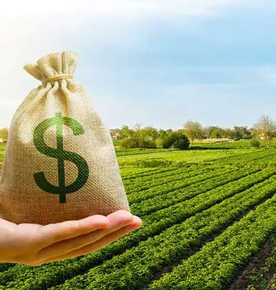 Stock Investment vs. Agricultural Land Investment in Turkey